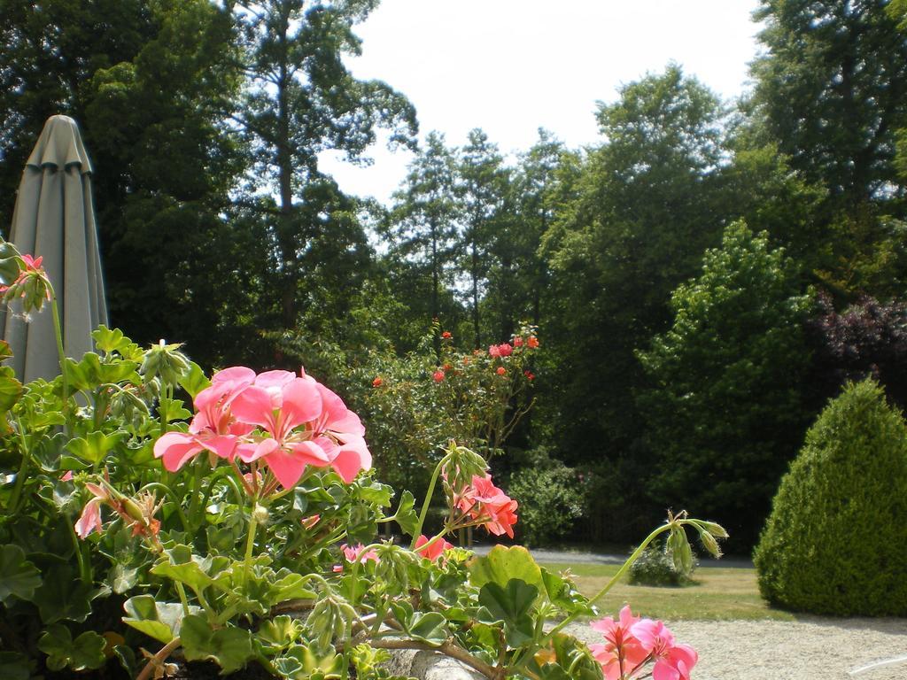 Chateau Baffy Colombiers-sur-Seulles Buitenkant foto